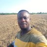 RichMelvis's profile picture. A farmer, Agriprenuer, Financial Analyst, Entrepreneur, Asante Kotoko fan, the Only A.C Milan fan in Ghana.