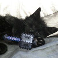 Fulliee (@fulliee) 's Twitter Profile