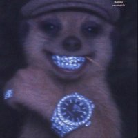 baunffa (@trappvortex) 's Twitter Profile Photo baunffa (@trappvortex) 's Twitter Profile Photo