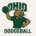OU Club Dodgeball (@ou_dodgeball) Twitter profile photo OU Club Dodgeball (@ou_dodgeball) Twitter profile photo