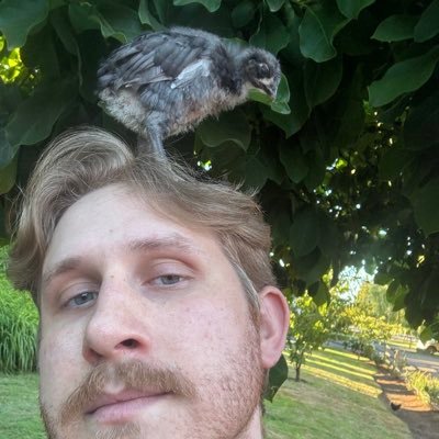 ziggyweavs's profile picture. guided by a non-linear narrative