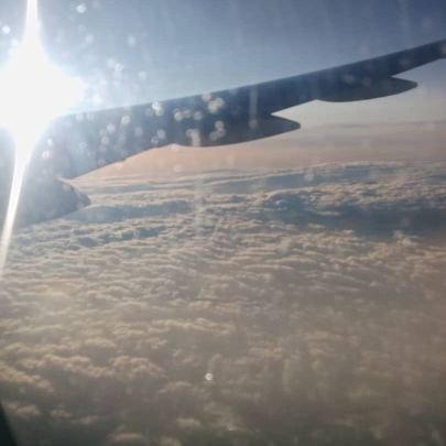 kosoflagos's profile picture. 