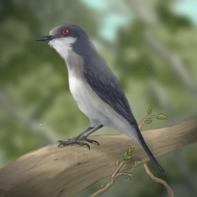 Kris Artwork (commissions open)さんのプロフィール画像