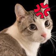 bttl47's profile picture. @TanssiNetwork @MorphLayer