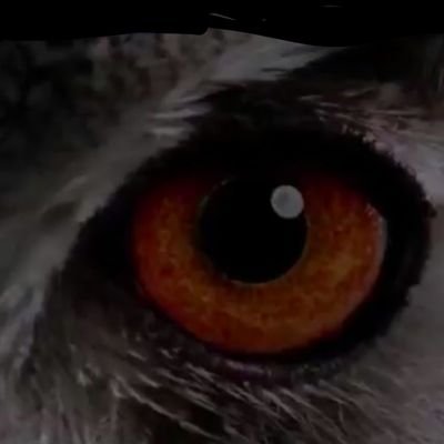 LuminasSunrise2's profile picture. 心と言葉と行動

←の意味を理解している人は素晴らしいです

順序は快適さの要素
←
早く理解してね!!