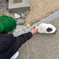 ともき (@tomoooooo0920) 's Twitter Profile