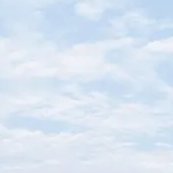 denmono12's profile picture. 