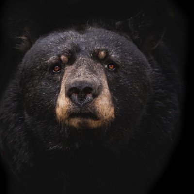 Cripto_search07's profile picture. 