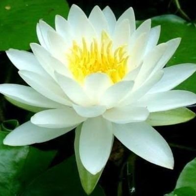 MONIR4524472114's profile picture. 