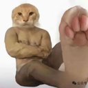 Levi Rasmussen - @eloar92536784 - Twitter