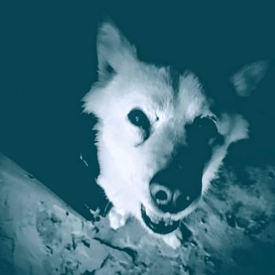 模型製作や映像見たり本を読むのが趣味の毒吐き守銭奴わんこww
小説の更新情報は『小説家になろう』の活動報告の方に定期的にアップしてます。