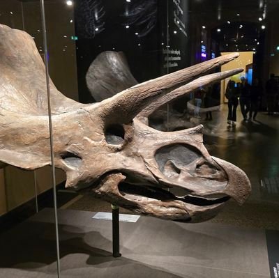 motoure94's profile picture. 3D Game Animator