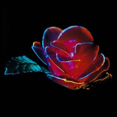 Meadow_Ln's profile picture. r.i.p. Margaret Josephine Levinson 🌹🥀