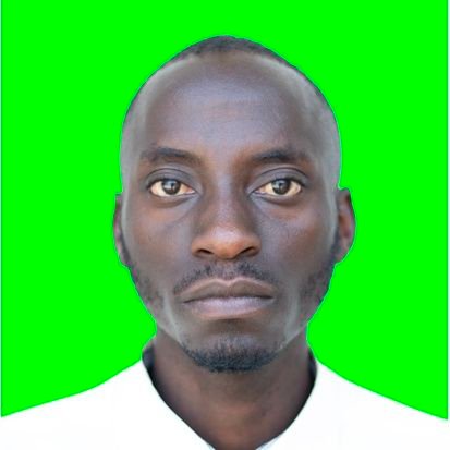 Php Developer, UI/UX Design, DB Management, Network Administrator, Projects Maker, Comedian, ICT Teacher, Founder of @inkinolive.