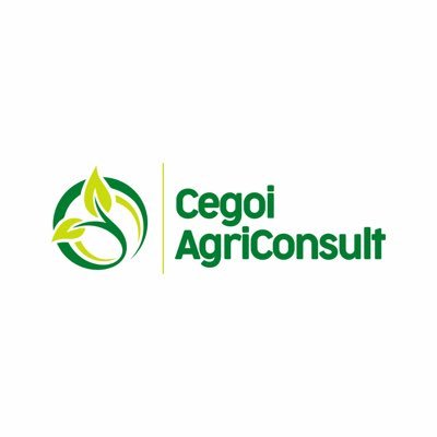 Empowering farmers with innovative solutions and expert guidance to maximize productivity and sustainability. Your trusted partner in agricultural success