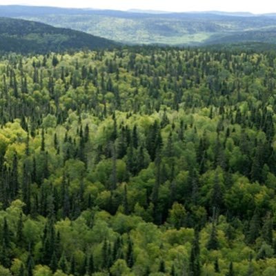 df51389339's profile picture. 