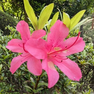 v74nxw96Cv83064's profile picture. 都内在住の40代。未婚子供はいません。 音大声楽学科出身。3歳からバレエ🩰。『角ハイボール🍻』大好き‼️ ミュージカル🎵バレエ🩰舞台全般､大好きです❤️40歳で初めて料理🍳始めました笑。DMは基本🙇‍♀️🆖基本怒らない性格ですby自称😑笑。皆様と楽しく繋がれたら嬉しいです😊