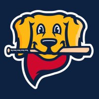 Ballpark BatDogs 16u (@batdogs16u) 's Twitter Profile Photo Ballpark BatDogs 16u (@batdogs16u) 's Twitter Profile Photo