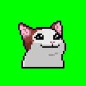 CatTraders1's profile picture. A Cat With Some Supportive Friends and A Growing Community😻 #ET #PONGET #LONGET