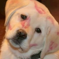 Jirawan (@puiixxxx) 's Twitter Profile
