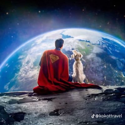 upsdownsturns's profile picture. i created this acc for deep down thoughts, but now it’s a polin and corenswet stan acc