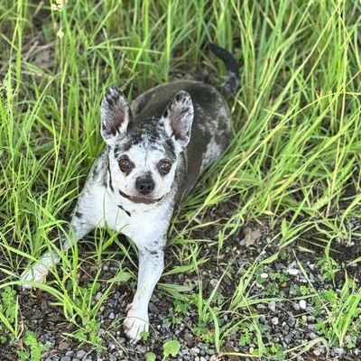 tobigtolose's profile picture. Eat pasta ride faster