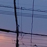 pierre (@faowao) 's Twitter Profile