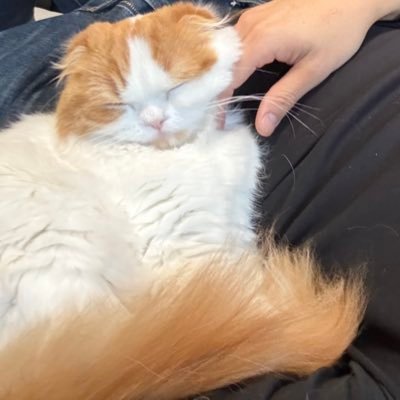 @yutin_1110 ←こちらがロックかかってしまった為、治るまではこちらでツイート等します😭 〜筋トレ日記〜