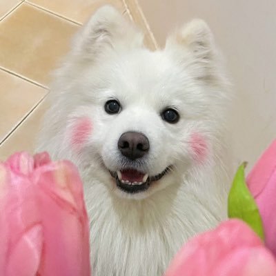 BlberJustin's profile picture. 