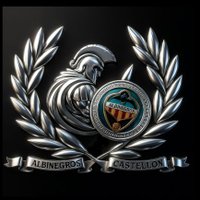 Albinegros Castellón (@albinegrosc) 's Twitter Profile