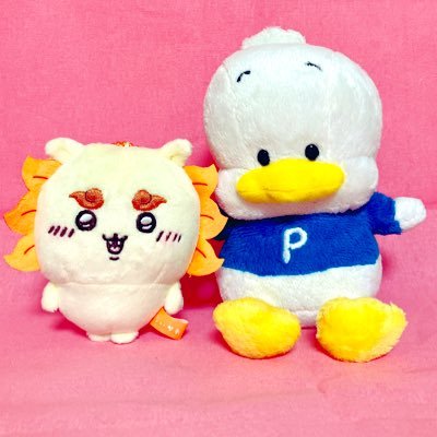 あひるのペックル(はぴだんぶい)、ポムポムプリン、ちいかわ(ナガノさん全般、自分ツッコミくま、もぐころ、アザラシ)シーサー推しです🦁シーサーちゃんとペックル好きな方はぜひフォローしてください