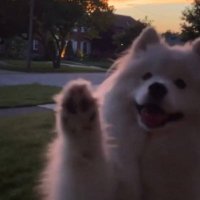 sunkissed☀️ (@sunkissedmj) 's Twitter Profile