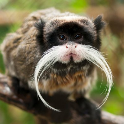 bussybandit.eth Profile