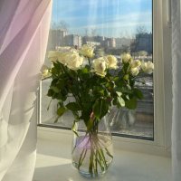 biunchy (@biunchy) 's Twitter Profile