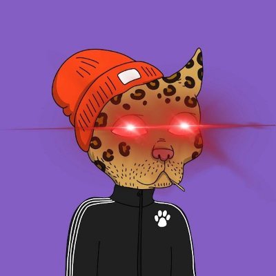 mafrs331550's profile picture. Blockchain web3 workers