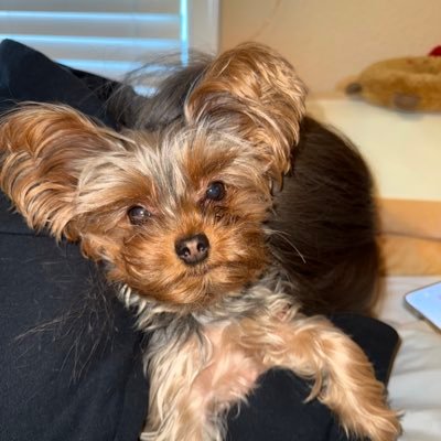call me koko | streamer | https://t.co/PPEZB8aYus | https://t.co/JTA2xUZlBL