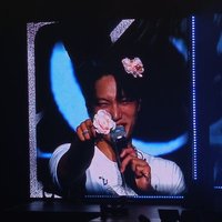 shanleydeul ˚ ༘♡ ⋆ (@ryujinnieqrstuv) 's Twitter Profile Photo shanleydeul ˚ ༘♡ ⋆ (@ryujinnieqrstuv) 's Twitter Profile Photo