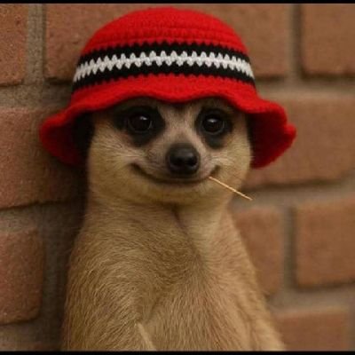 epiphanicseason's profile picture. 