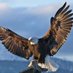 Glen Kilmer🦅 (@fbh1649451) Twitter profile photo Glen Kilmer🦅 (@fbh1649451) Twitter profile photo