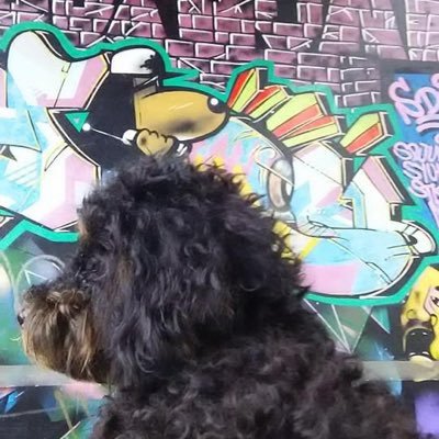 shiomori_'s profile picture. 誰だって、今しかない。 蒔いた種は、必ず自分で刈り取る事になる。悪名は無名に勝らない。