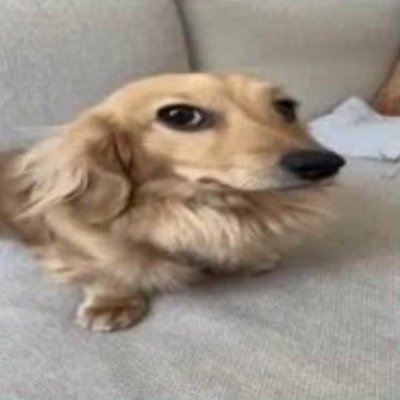 ru | eng | 17 y.o
My thoughts, stories, tips
Mini Roblox developer
RBLX✨
тгк https://t.co/vyjTkbwyA4 (для русскоязычных🥰)