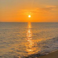 lovely（电报验证码问题解决） (@chipie_vicky) 's Twitter Profile Photo