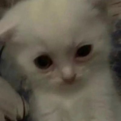 Quasmoder's profile picture. 