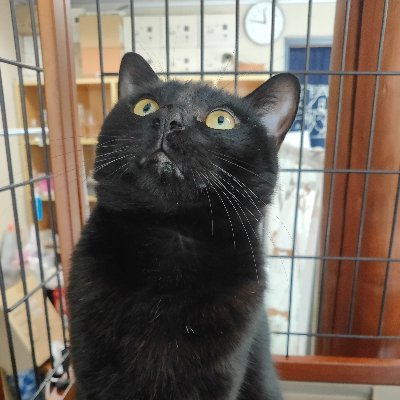 ボジョレーヌーヴォー予約受付中！！10月25日ZURAマルシェさんのプロフィール画像