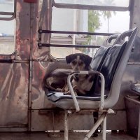 Steven Rasquinha (@smartlygaming) 's Twitter Profile