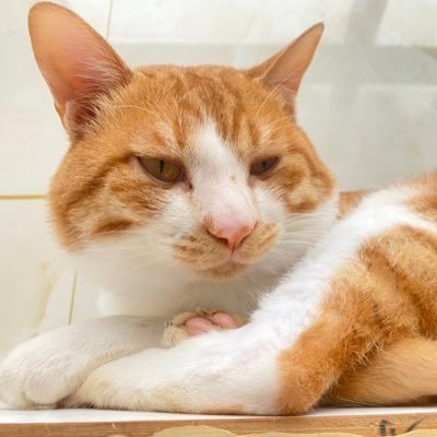 binbin_van's profile picture. バカ 傻x