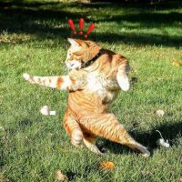 Stanos (@crypto_stanos) 's Twitter Profile