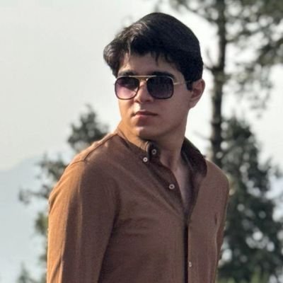 HamzaRehman383's profile picture. 