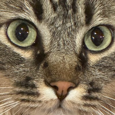 ∿spencer. Profile