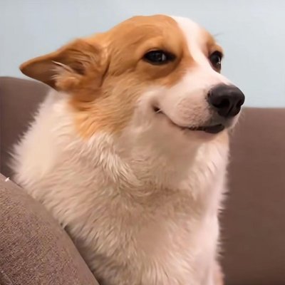 dogeshbhai1's profile picture. Dogesh bhai dont need aura needs dogesh bhai
